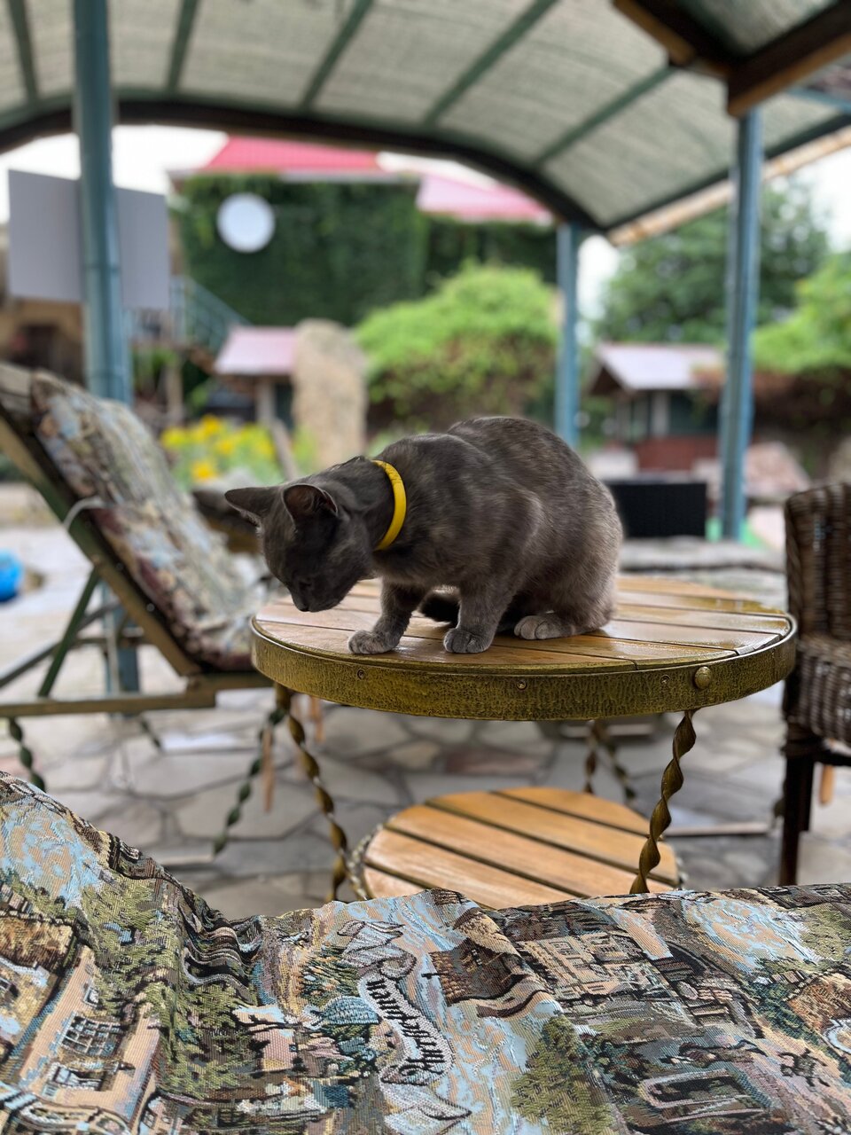 Гостиница Форт Апатур Тамань-101