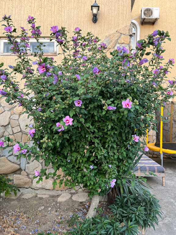 Гостиница Форт Апатур Тамань-190