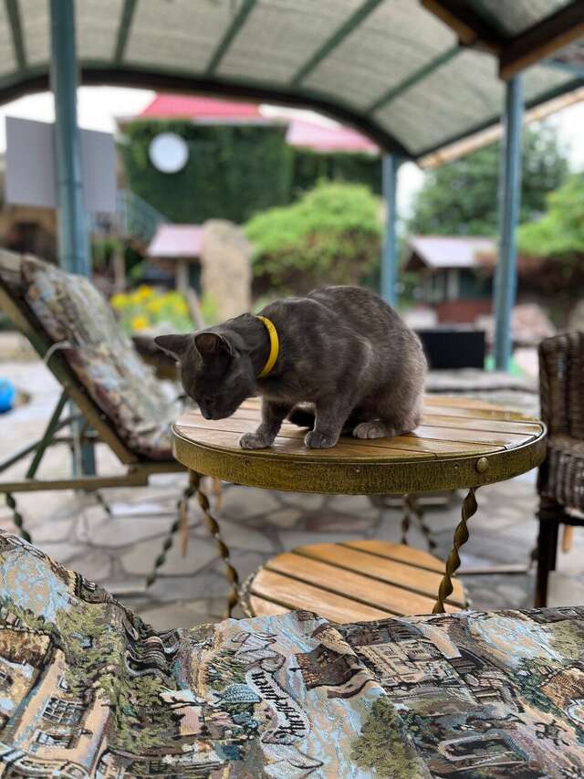 Гостиница Форт Апатур Тамань-100