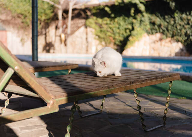 Гостиница Форт Апатур Тамань-18