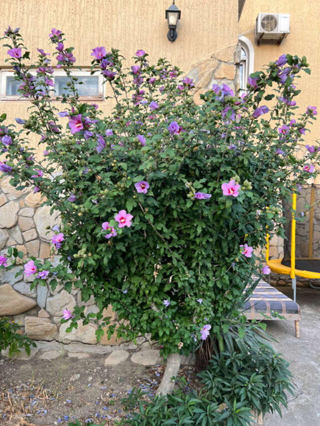 Гостиница Форт Апатур Тамань-189